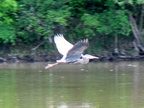 IMG 4754